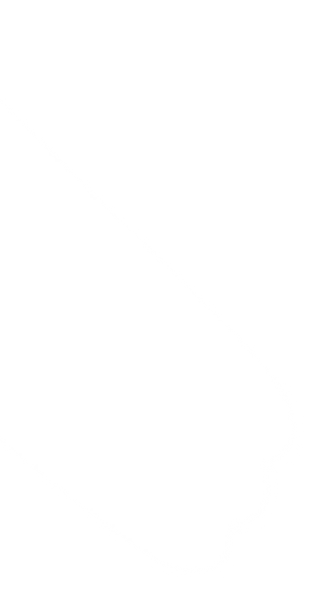 b1-bg-shape-1